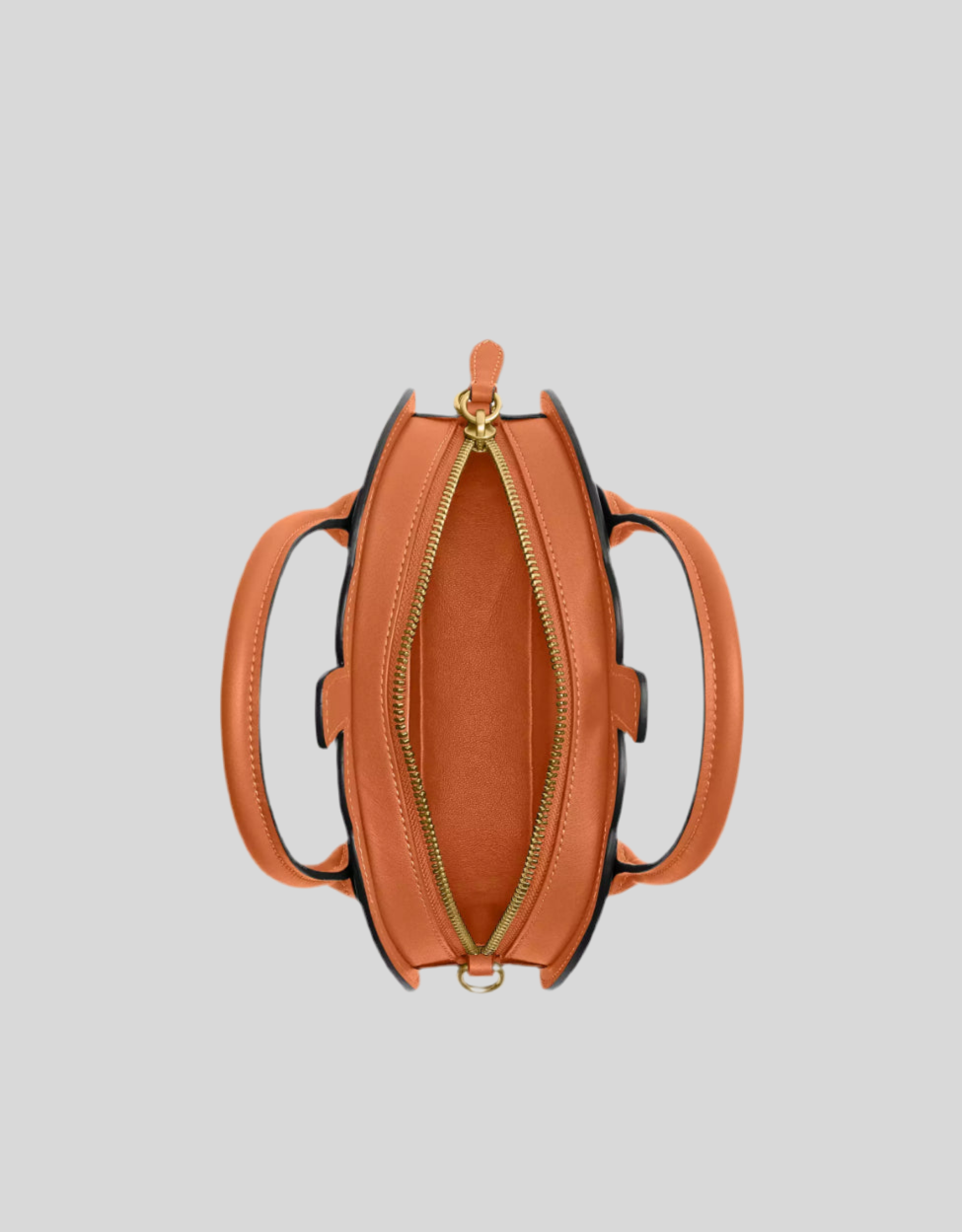 NWT Coach Pumpkin Bag In Leather