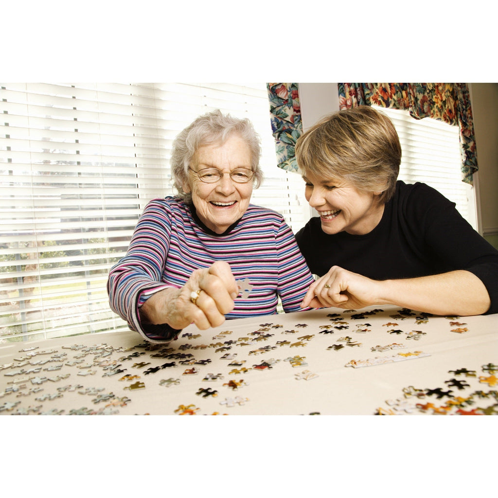 Seaside Light 300 piece Jigsaw Puzzle for Adults